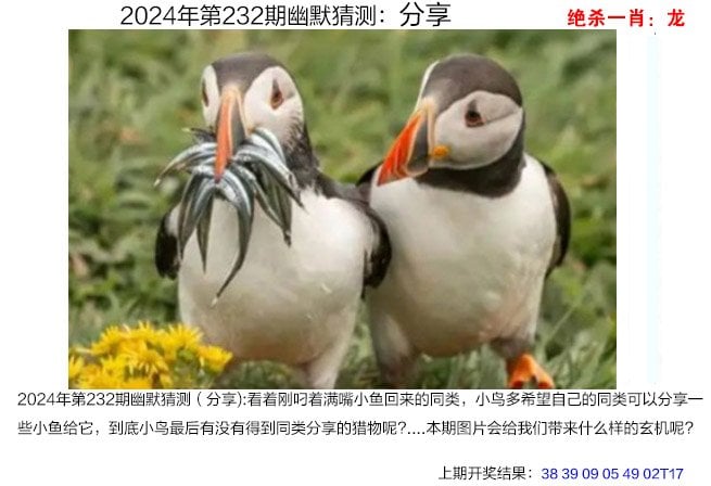 2024老澳门资料大全免费,准确答案解释落实_3DM4121,127.13