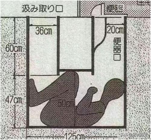 （美好的普通人 剧情 喜剧 hd中字免费观看）